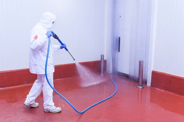 Reliable Wilkesboro, NC Pressure Washing Services Solutions