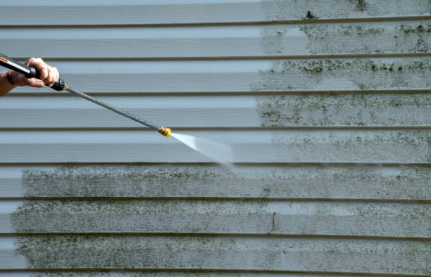 Best Residential Pressure Washing in Wilkesboro, NC